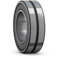 BS2-2206-2RS/VT143