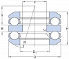54306