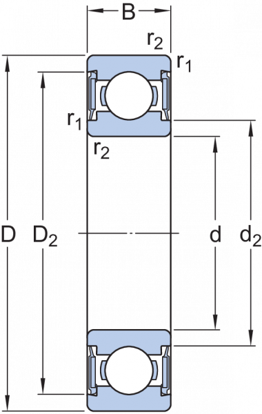 W 6000-2RS1