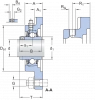 UCF 218