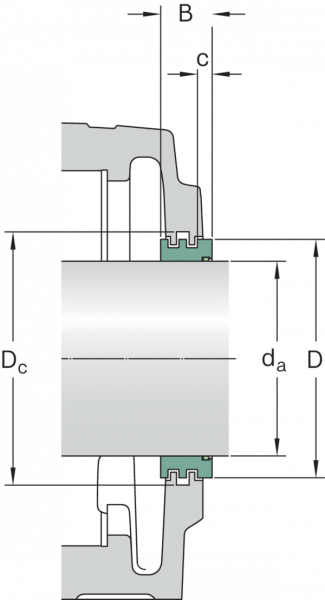 TS 60