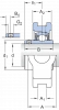 TUJ 50 TF